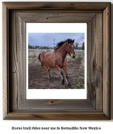 horse trail rides near me in Bernalillo, New Mexico